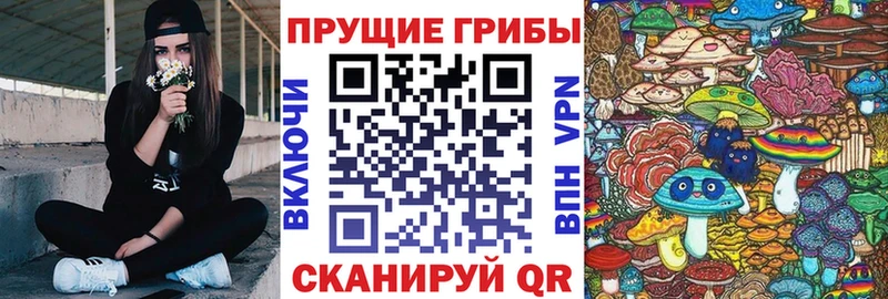 Купить закладки  Ачхой-Мартан  Галлюциногенные грибы Magic Shrooms 